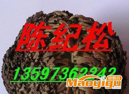 新產(chǎn)品、最新產(chǎn)品、新奇特、毛冬青