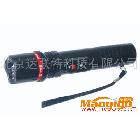 供應(yīng)電子防暴器