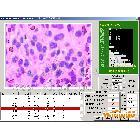 供應(yīng)BT-XB2000細(xì)胞分析軟件