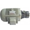 1/2HP-6P電機(jī)，1HP-6P電機(jī)，2HP-6P電機(jī)，3HP-6P電機(jī)西麗生產(chǎn)廠家