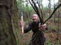 92歲老人41年種樹(shù)50多萬(wàn)株 2500畝荒山變綠