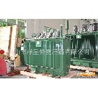 Oil-immersed Power Transformer