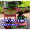 手推車(chē)彩色棉花糖機(jī),豪華型小車(chē)式棉花糖機(jī),花式棉花糖機(jī)