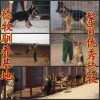 內(nèi)蒙古自治區(qū)通遼哪里有賣狼青犬的狼青犬價格