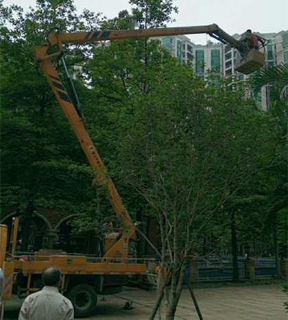 廣東連山橋梁維修車出租-中橋建