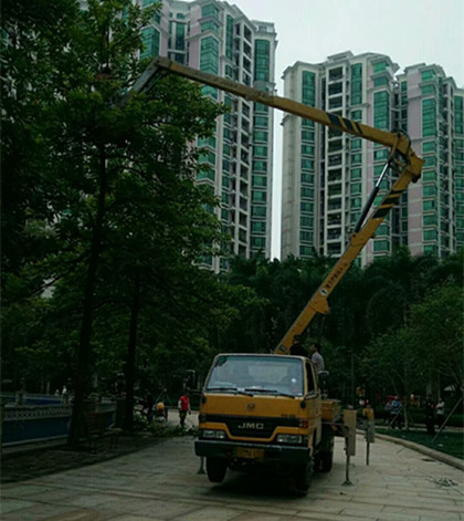 廣東和路燈車多少錢出租-中橋建