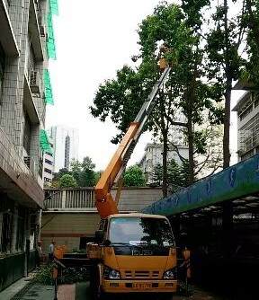 廣東興寧高空車(chē)廠家出租-中橋建