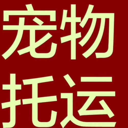 新聞：從大連到北京的長(zhǎng)途大巴車