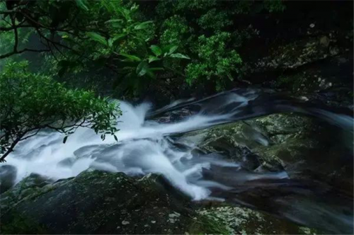 惠州雅居樂花園品質(zhì)怎樣?告訴你不為人知的秘密-惠州開發(fā)商房產(chǎn)樓市焦點