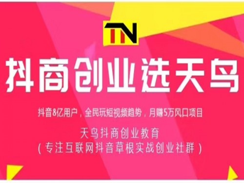 新聞：抖.音投放怎么做?dou+效果