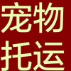 客車：從大連開往唐山客車臥鋪汽車