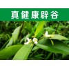 大連辟谷班——這里薦選【辟谷營(yíng)】7天辟谷哪里好