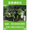 濟(jì)南辟谷減肥營(yíng)—【26-28日】辟谷培訓(xùn)班