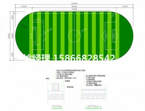 太原足球場比賽草坪怎么鋪草坪(河北承德建設公司)