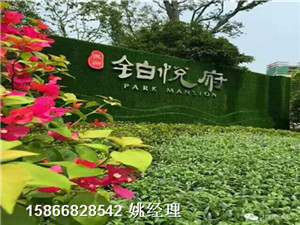 大興安嶺地區(qū)工地土坡仿草坪假草坪博翔遠(yuǎn)歡迎您