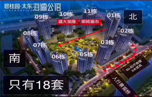 惠州大亞灣 公園上城怎么樣?惠州兇宅