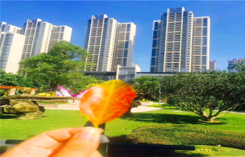 惠州大亞灣 公園上城怎么樣?碧桂園太東公園上城會(huì)升值嗎