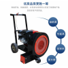 吉林延邊廠家小型吹風(fēng)機(jī)路面吹風(fēng)機(jī)電動(dòng)吹風(fēng)機(jī)掃雪機(jī)掃地機(jī)