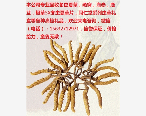 萊蕪(收購(gòu)-回收）冬蟲(chóng)夏草丨萊蕪回收極草5X冬蟲(chóng)夏草