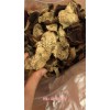 新聞:遼寧新會東甲陳皮禮品定制，送領導送長輩_新會陳皮好處(