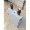 AAM8.4-300-1W參數(shù)標準品質(zhì)可靠濾波電容器