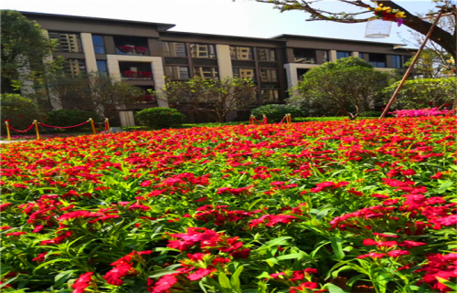 新聞:2019惠州龍光城疊墅樾府龍公館一樓花園/花園洋房