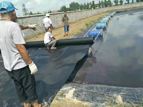 新聞：晉城魚(yú)塘護(hù)坡土工膜批發(fā)價(jià)格